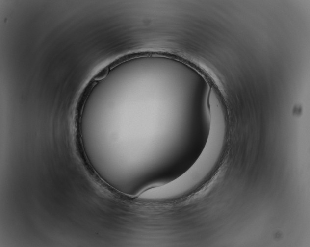 X0000102851077200809021355