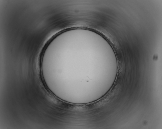 X0000102851078200809021355