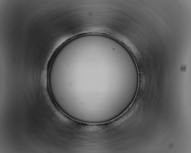 X0000102851079200809021355