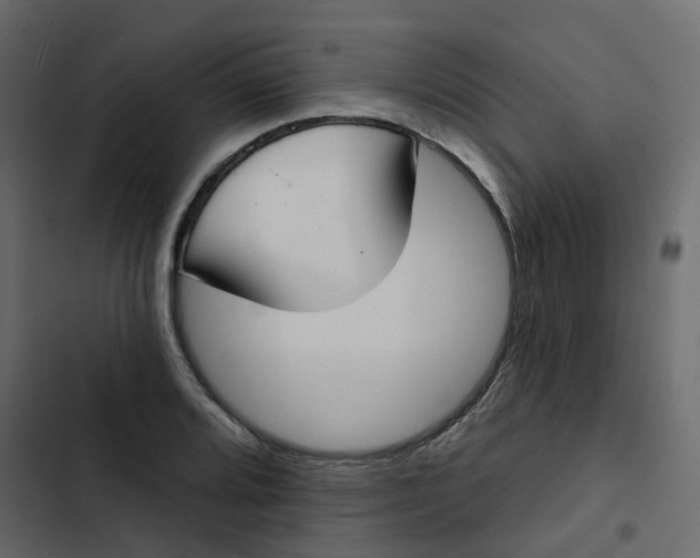 X0000102851080200809021355