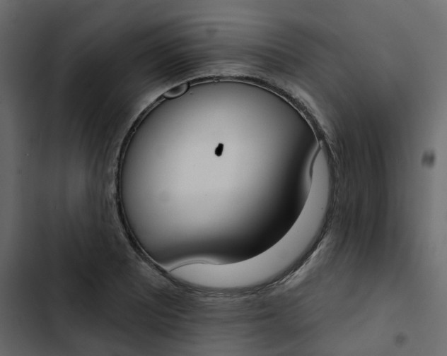 X0000102851081200809021355