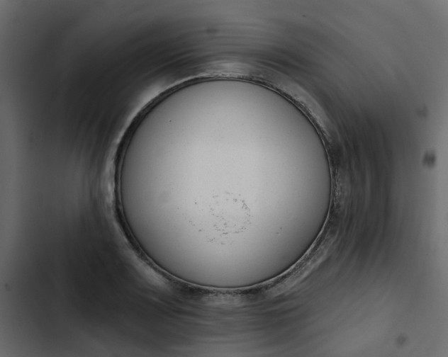 X0000102851083200809021355