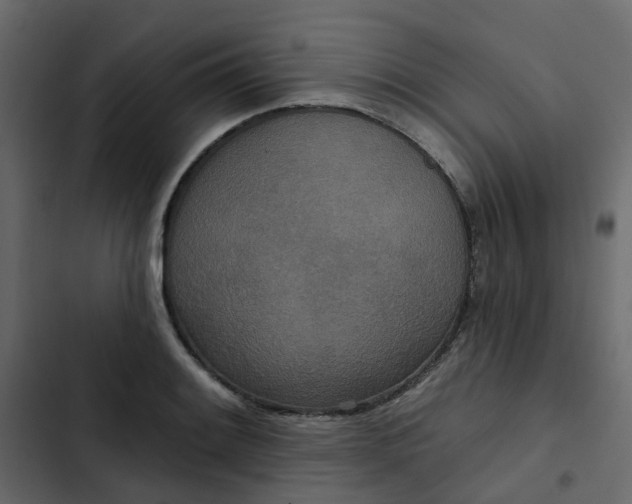 X0000102851084200809021355