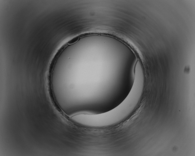 X0000102851085200809021355