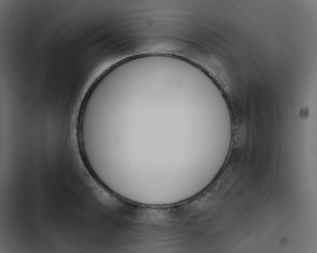 X0000102851086200809021355