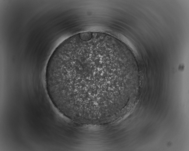 X0000102851087200809021355