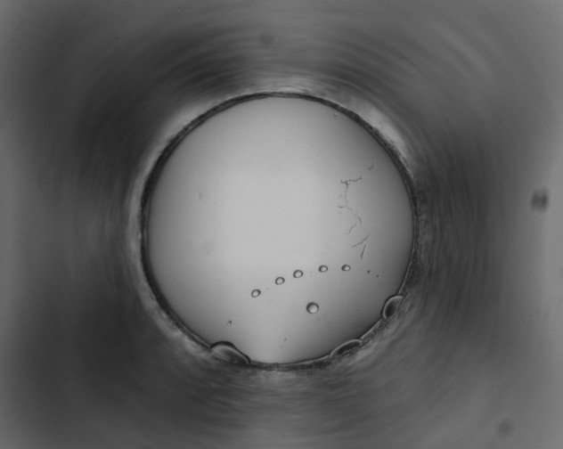 X0000102851088200809021355