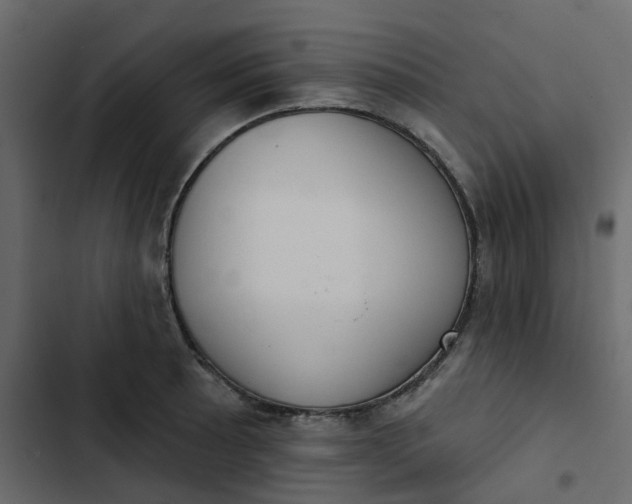 X0000102851089200809021355