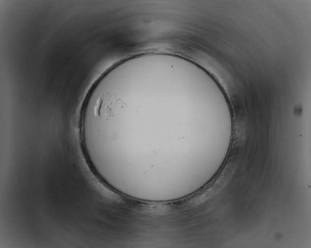 X0000102851090200809021355