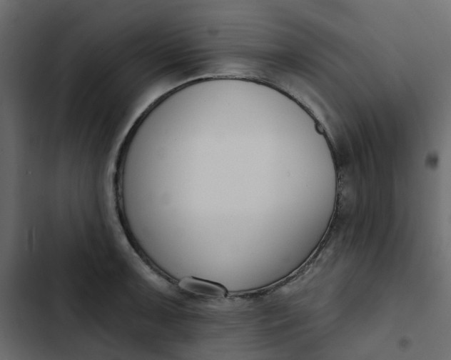 X0000102851091200809021355