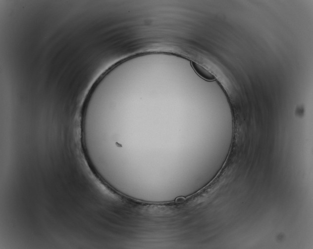 X0000102851092200809021355