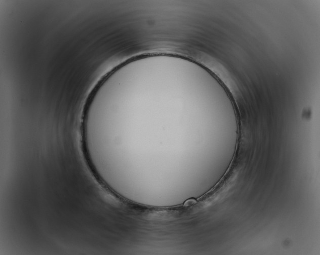 X0000102851093200809021355