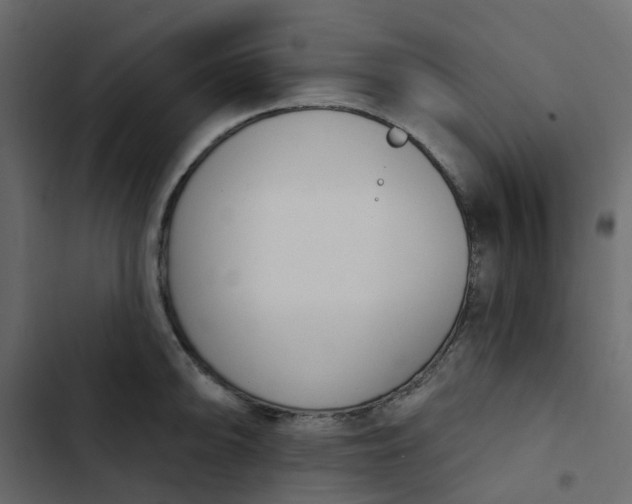 X0000102851094200809021355