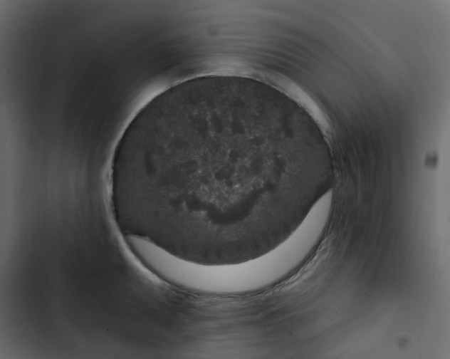 X0000102851095200809021355