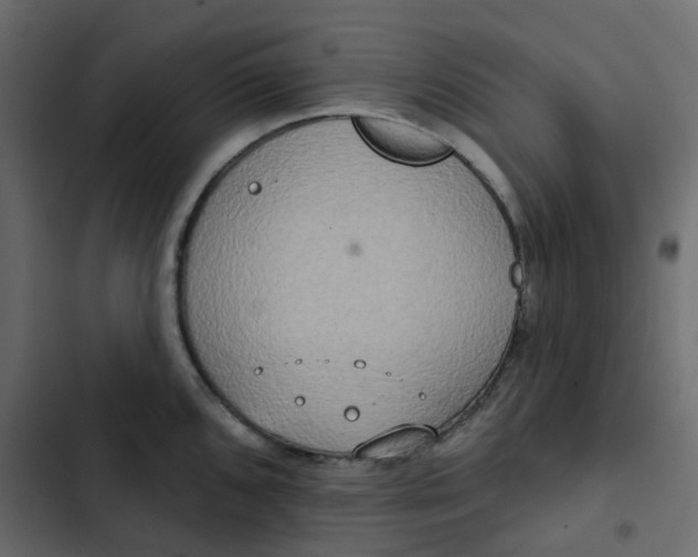 X0000102851096200809021355