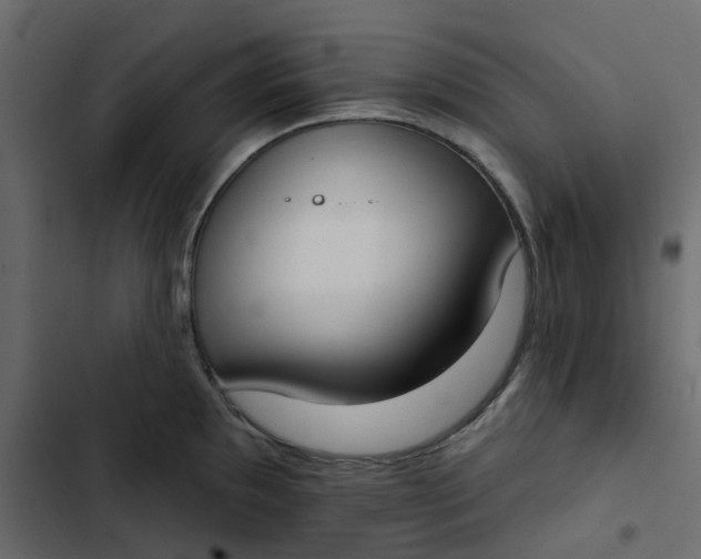 X0000102851097200809021355