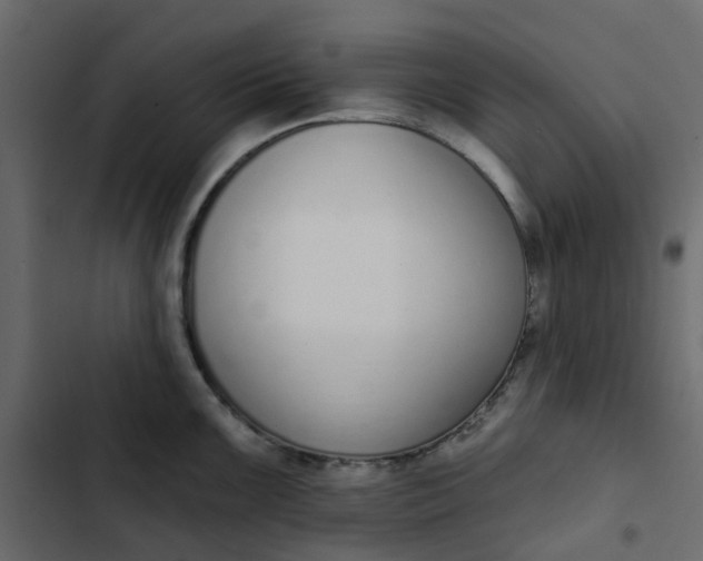 X0000102851099200809021355