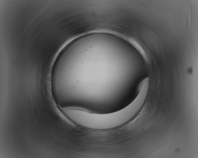 X0000102851100200809021355