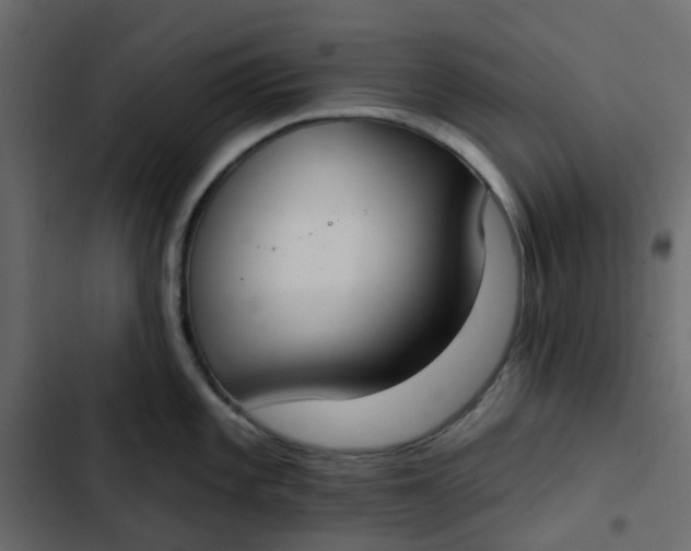 X0000102851101200809021355