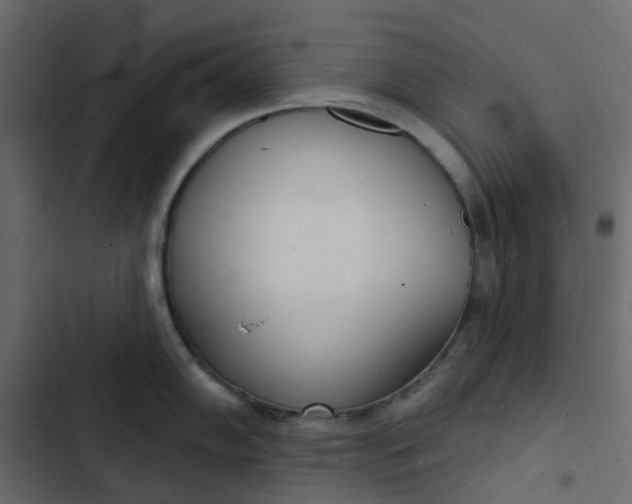 X0000102851102200809021355