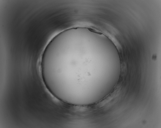 X0000102851103200809021355