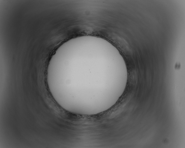 X0000102851105200809021354