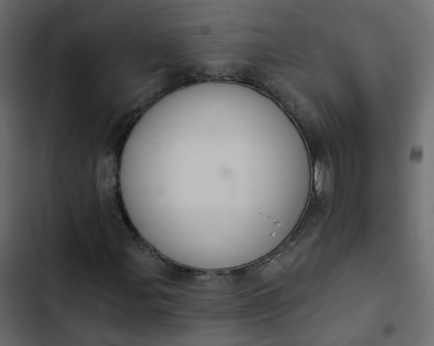 X0000102851107200809021354