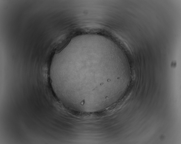 X0000102851108200809021354