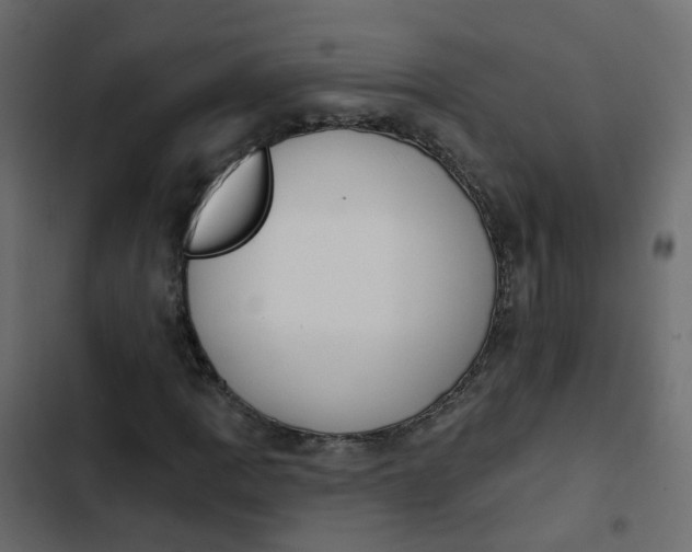 X0000102851109200809021354