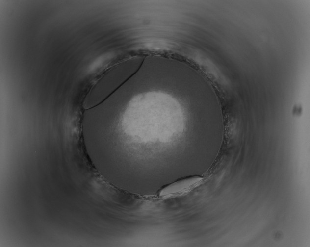 X0000102851110200809021354