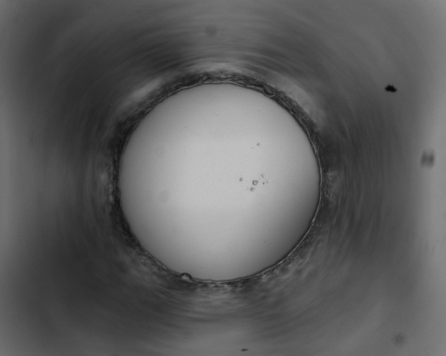 X0000102851111200809021354