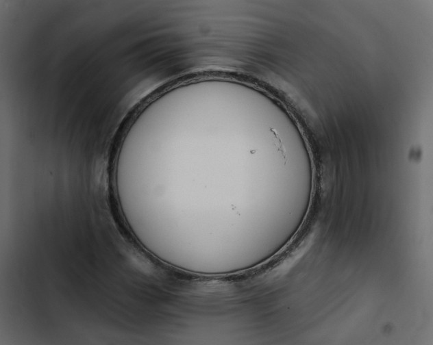 X0000102851113200809021354