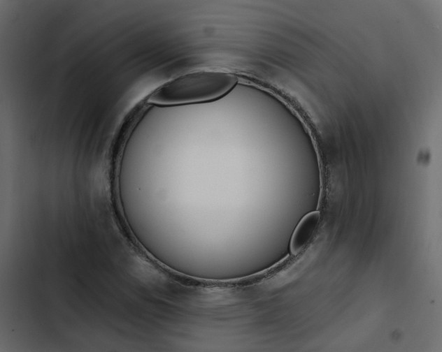 X0000102851114200809021354