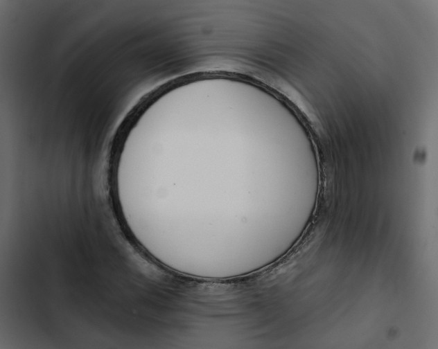 X0000102851116200809021354