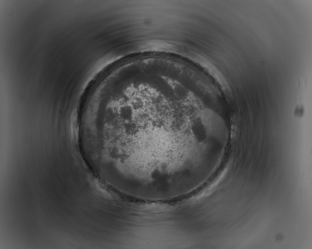 X0000102851117200809021354