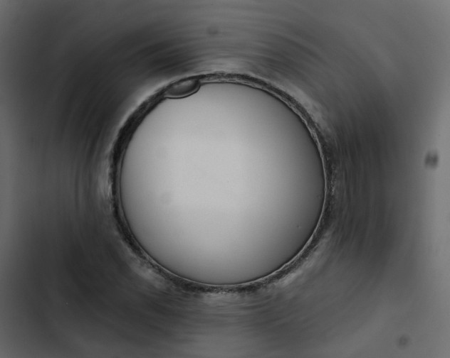 X0000102851118200809021354