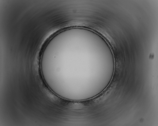 X0000102851119200809021354