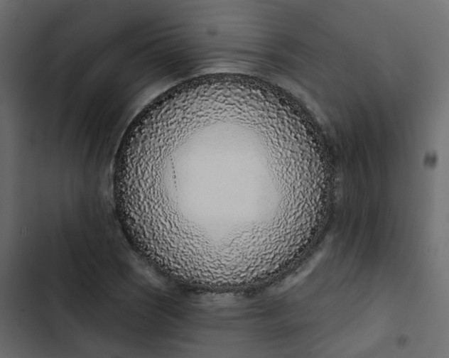 X0000102851121200809021354