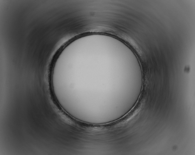 X0000102851122200809021354