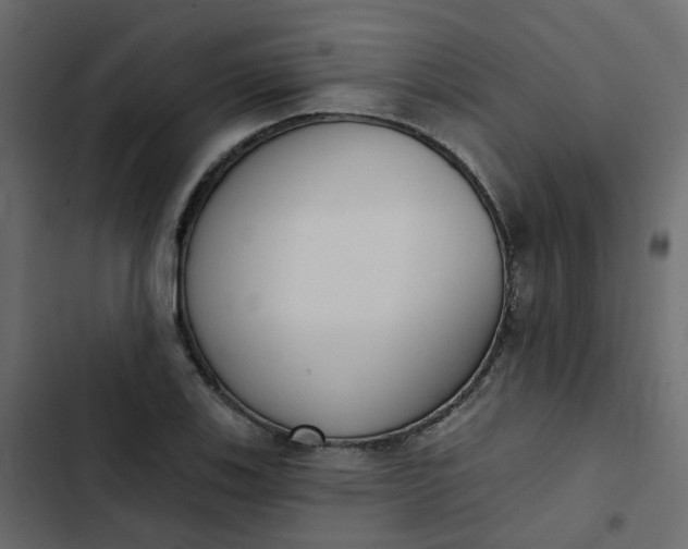 X0000102851123200809021354