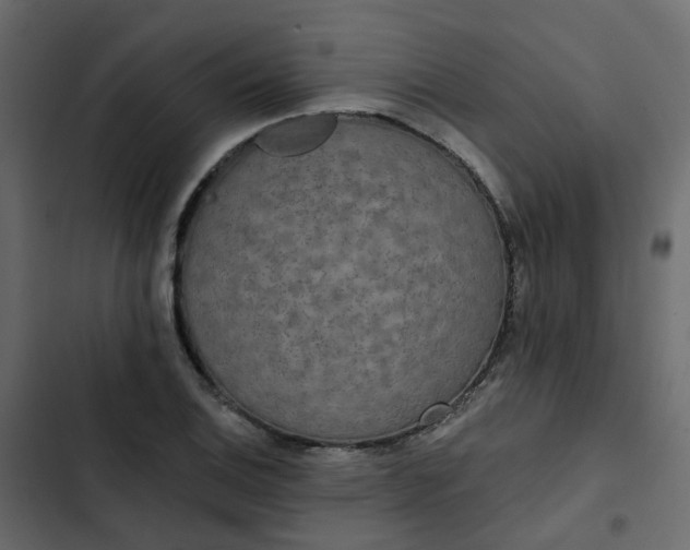 X0000102851124200809021354