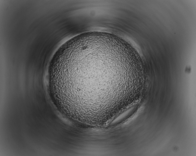 X0000102851125200809021354