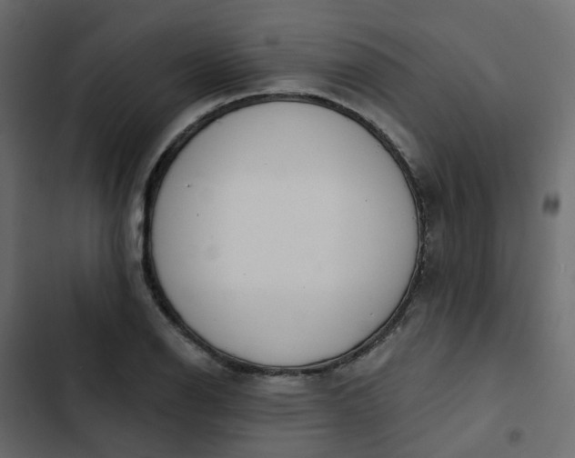 X0000102851126200809021354