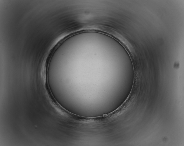 X0000102851127200809021354