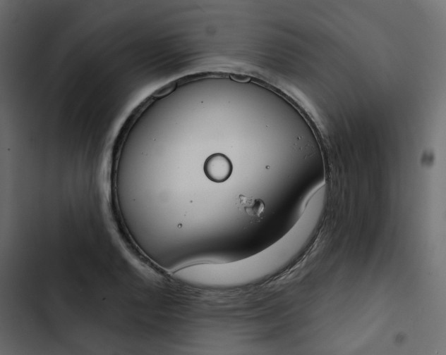 X0000102851128200809021354