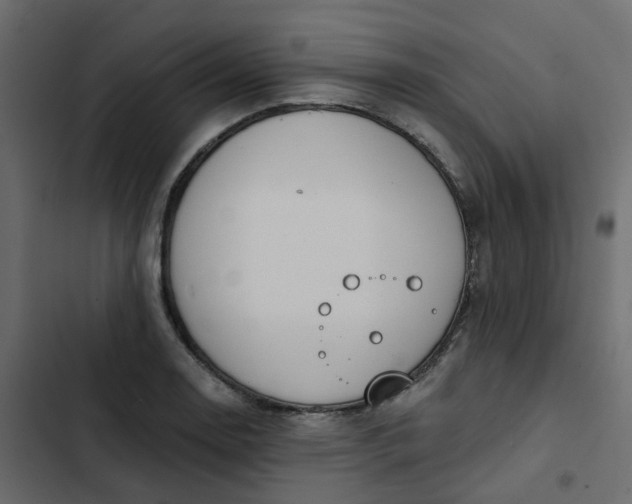 X0000102851130200809021354