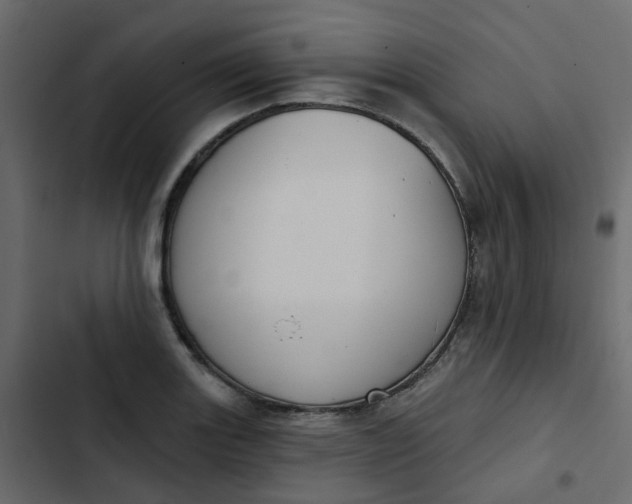 X0000102851131200809021354