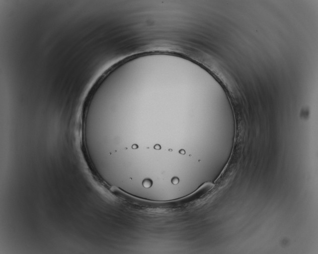 X0000102851132200809021354