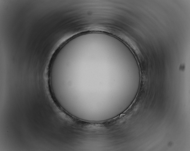 X0000102851133200809021354