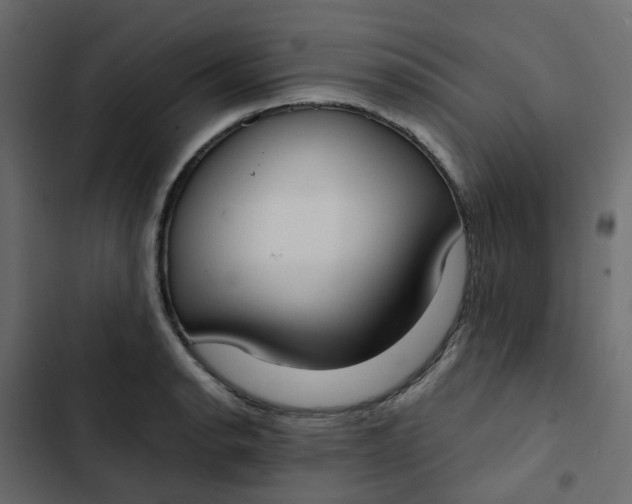 X0000102851134200809021354